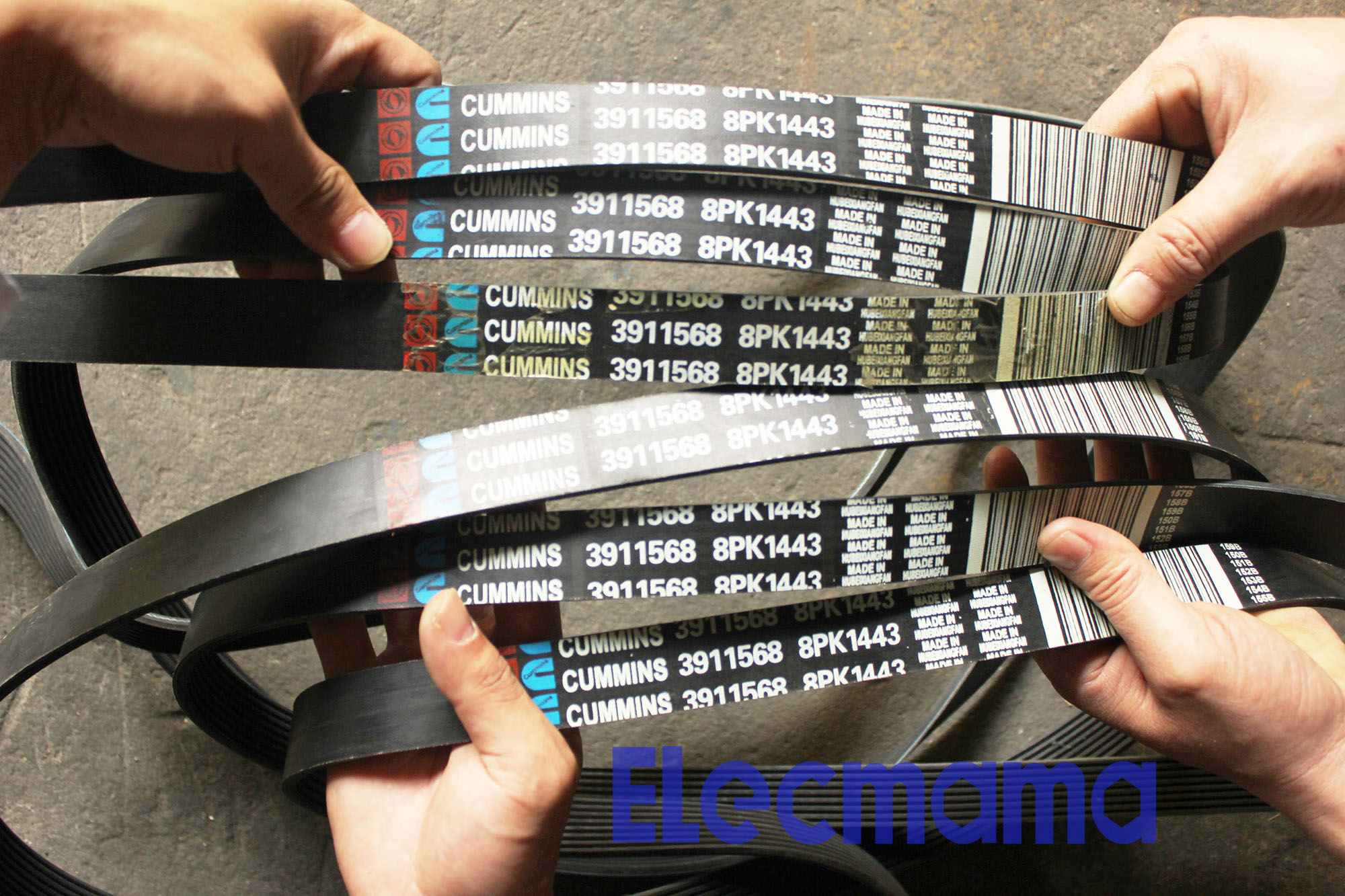 Cummins Engine Belt 3911568 | Yangzhou Yongcai Machinery Co., Ltd.