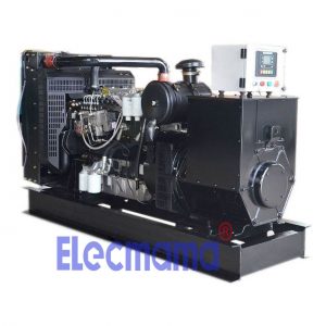 1006TG2A lovol diesel generator