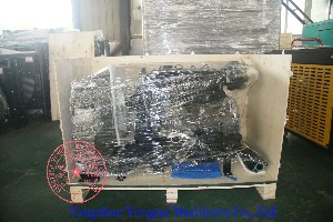 Yangdong YND485D diesel engine for generator set