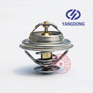 Yangdong Y4100D thermostat