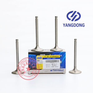 Yangdong Y4102D intake valve