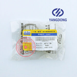 Yangdong Y4102D intake valve seat