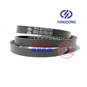 Yangdong Y4102D engine belt